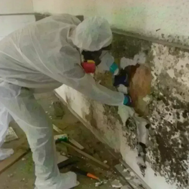 Mold Remediation and Removal in Lake Orion, MI