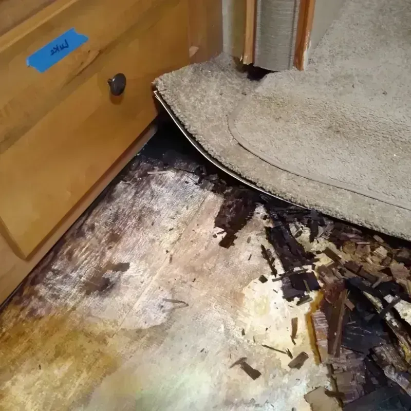 Wood Floor Water Damage in Lake Orion, MI